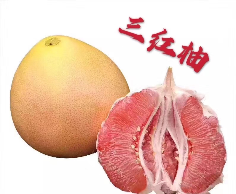 农家三红柚无污染无农药日照时间长