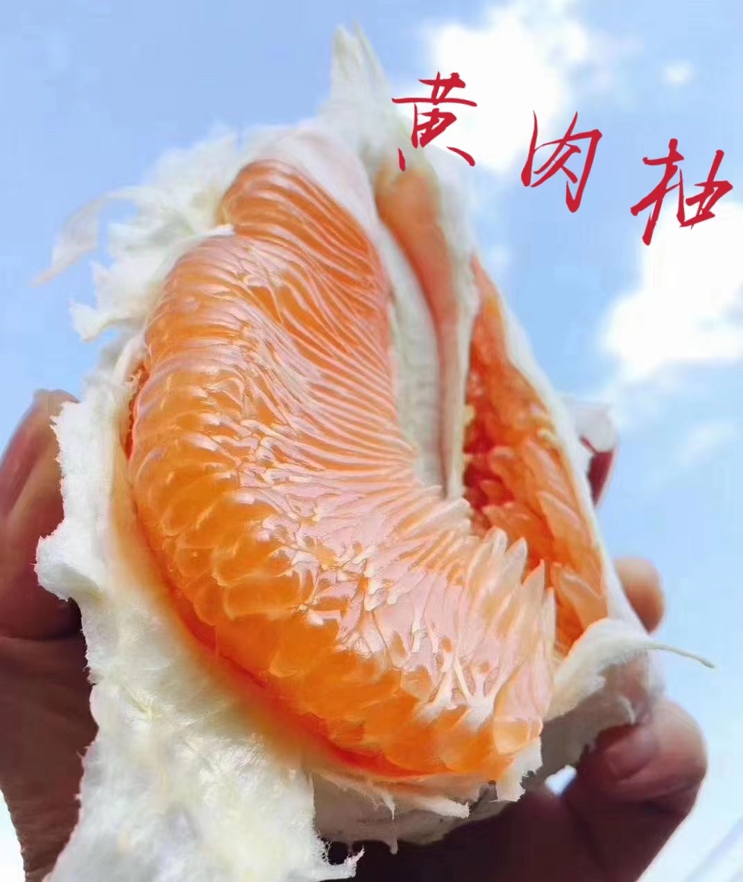农家三红柚无污染无农药日照时间长