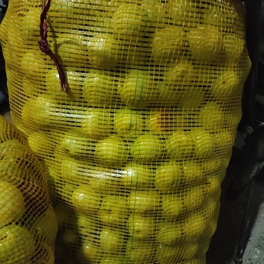 临猗县梨枣