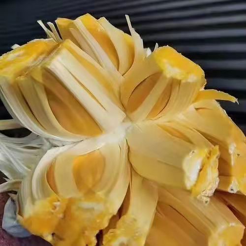 泰8菠萝蜜