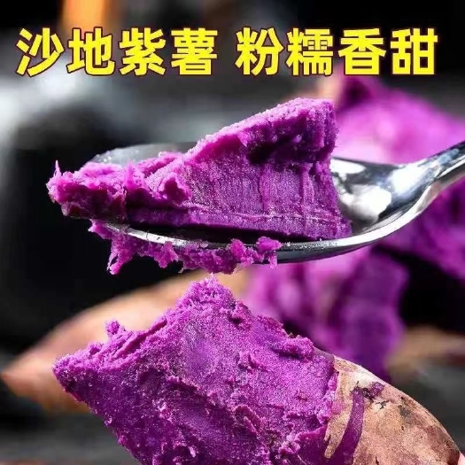 新鲜紫薯现挖现发沙地紫红薯地瓜蜜薯紫色番薯批发一件代发