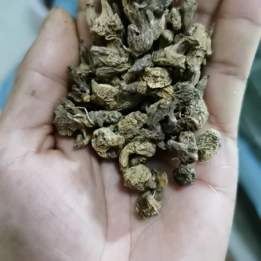 成都正宗凉山州白芨