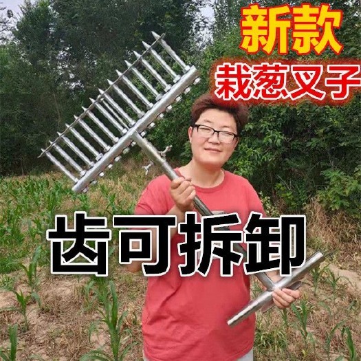 临沂打折栽葱栽葱工具葱叉子扎眼器栽葱叉子葱插农用众泽农具