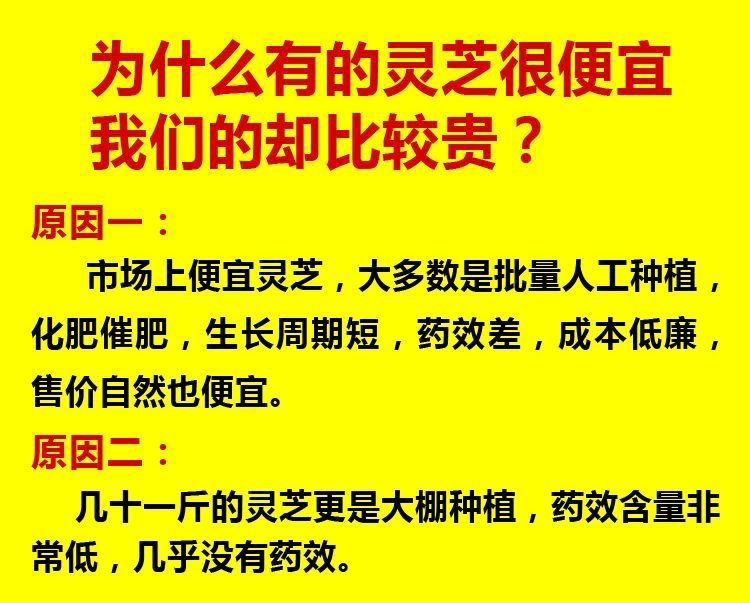 靈芝深山采摘林芝云南正宗整枝正品黑靈芝片泡酒養(yǎng)生