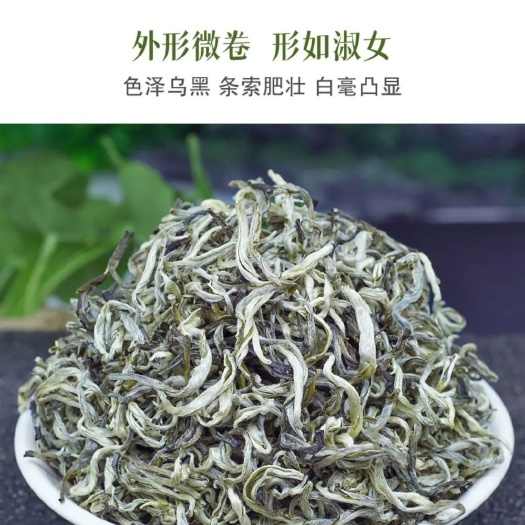 楚雄市全嫩芽绿茶散装2022新茶明前高山云雾高档绿茶茶叶特级高香雪