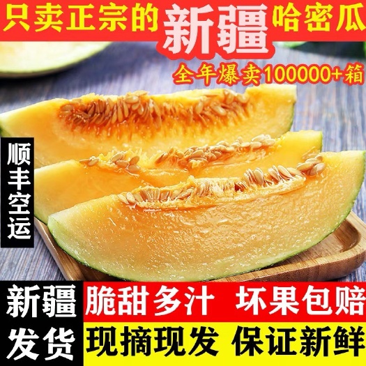 伊吾县哈密淖毛湖哈密瓜甜瓜西州蜜网纹瓜商品一级精品瓜24斤/箱