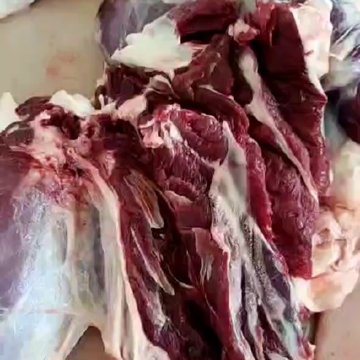 阳信县国产鲜冻牛肉，假一赔十万，收到货，不满意无条件退款退货。