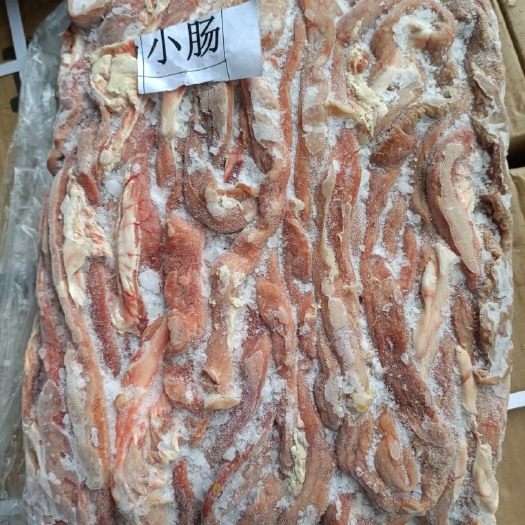 东莞市猪肠 猪小肠