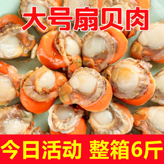 特大号扇贝肉新鲜冷冻扇贝贝类海鲜瑶柱