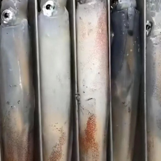 东山县特钓管