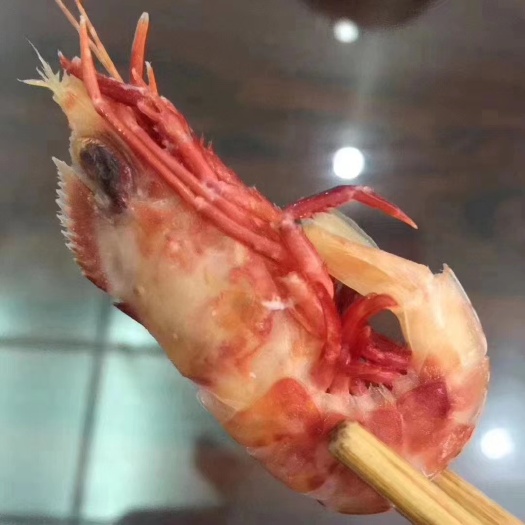 东山县活冻鸡冠虾