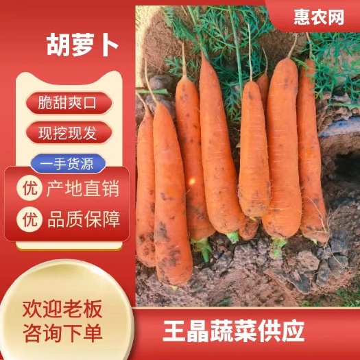 朔州山西胡萝卜大量上市，电商货，水洗货，支持各种包装。