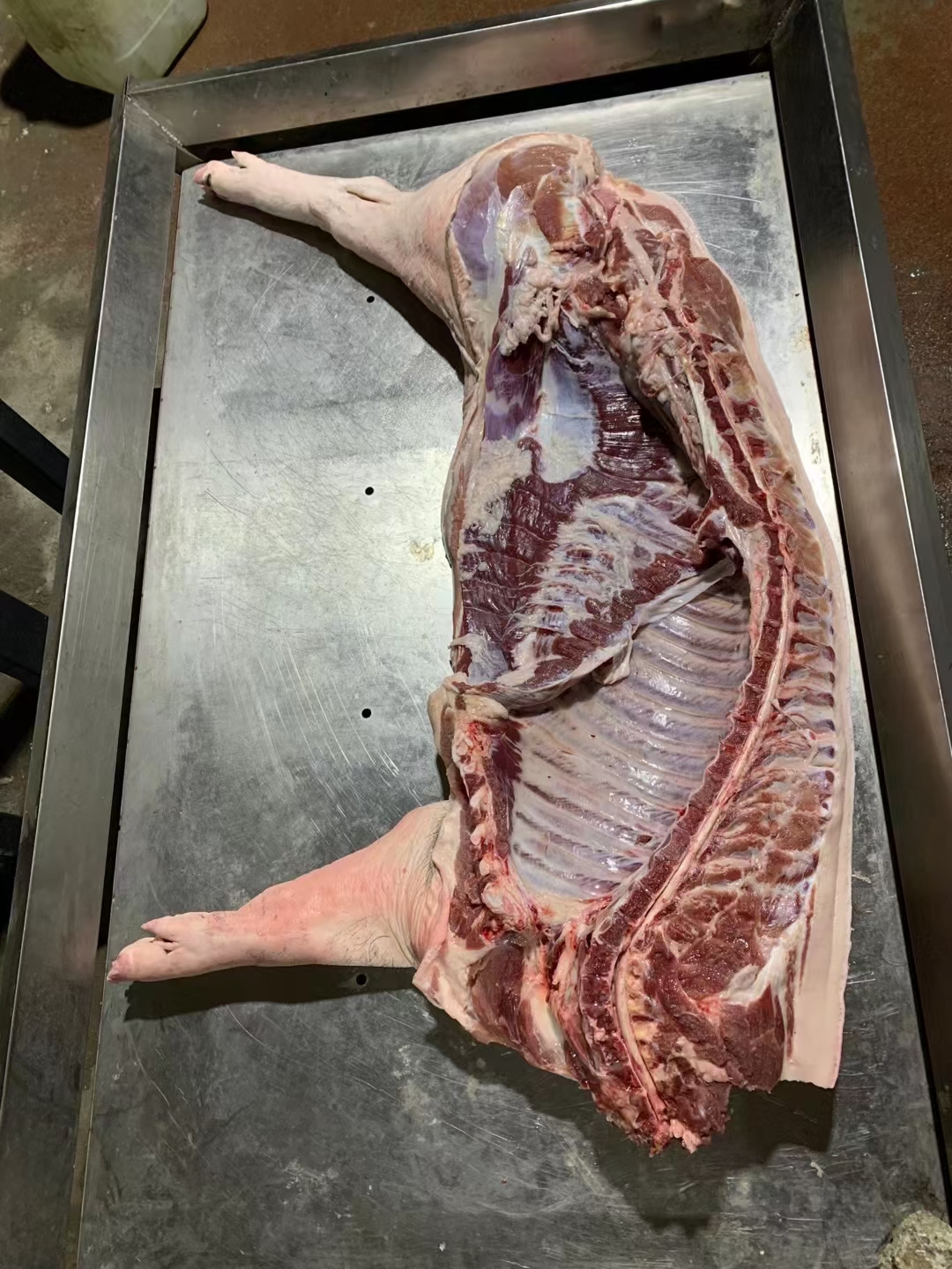 去后腿黑猪三清白条
