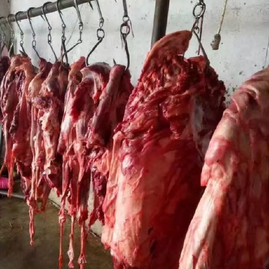 新鲜驴肉 肋条肉 腿肉