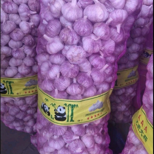 金乡县大蒜