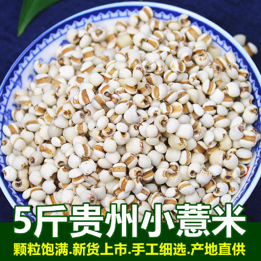 温岭市新鲜小薏米仁5斤薏米薏仁米苡米仁贵州特产五谷杂粮粗粮粮包邮