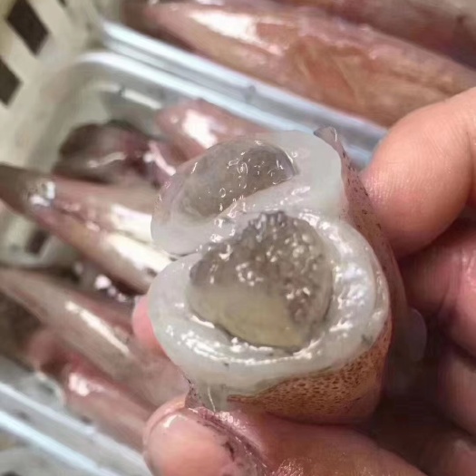 东山县鲜冻带饭管