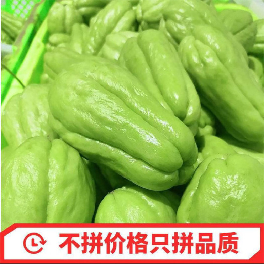 贵州新鲜佛手瓜5斤高原农家自种蔬菜洋瓜捧瓜丰收瓜窝瓜寿瓜包邮