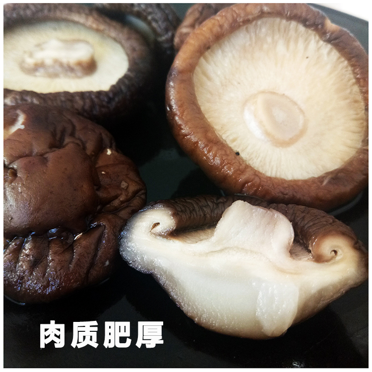 东北小香菇干货3cm长白山椴木香菇精品金钱菇手选冬菇肉厚无根