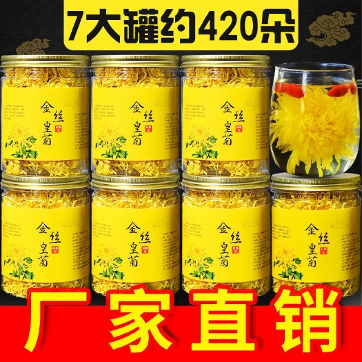 休宁县菊花茶金丝皇菊黄菊一朵一杯菊花花茶大搭枸杞胎菊金银花贡菊茶叶