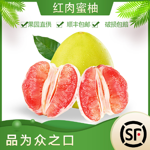梅州红心柚/三红柚/蜜柚/白心柚/黄心柚50斤/袋中果