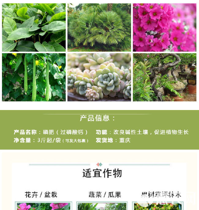 磷肥粉末过磷酸钙催花肥料家用园艺瓜果蔬菜盆栽通用型化肥磷钾肥