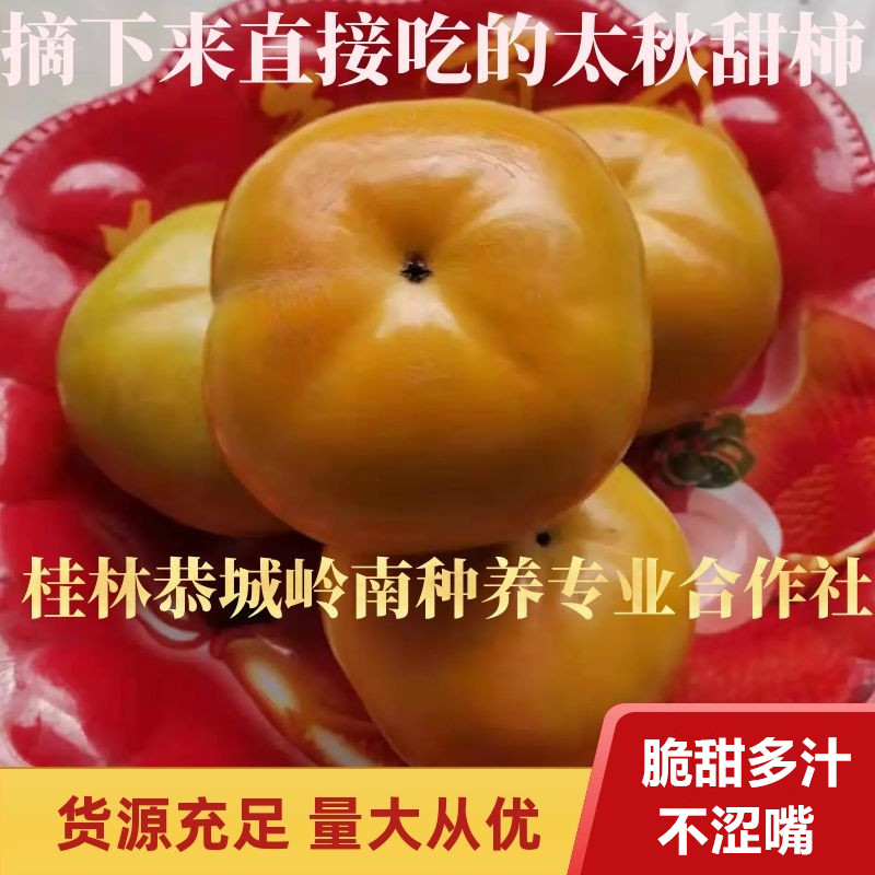 恭城瑶族自治县甜心柿日本甜柿5斤太秋甜柿大秋柿子好吃的水果树上摘下带皮吃