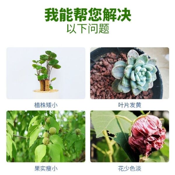 磷肥粉末过磷酸钙催花肥料家用园艺瓜果蔬菜盆栽通用型化肥磷钾肥