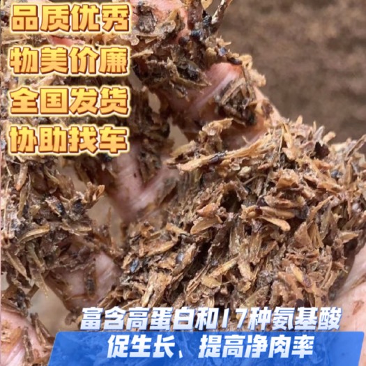 宜宾五粮液酒糟。育肥牛羊猪饲料的优质原料。含粮量丰富。