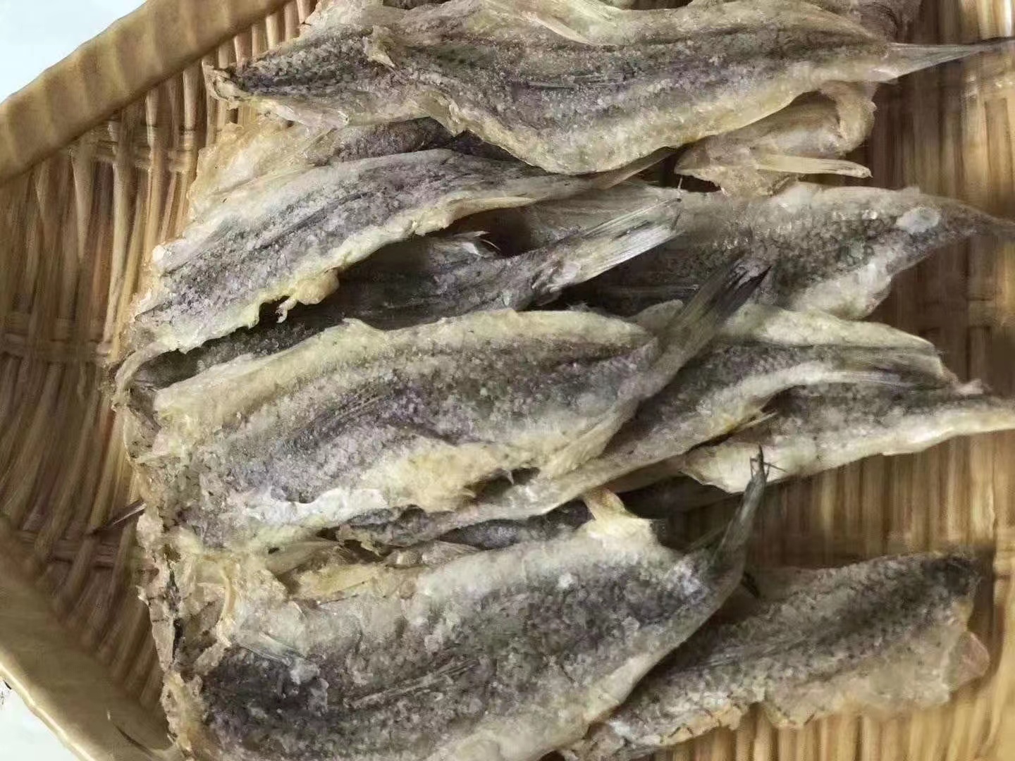 狗母干