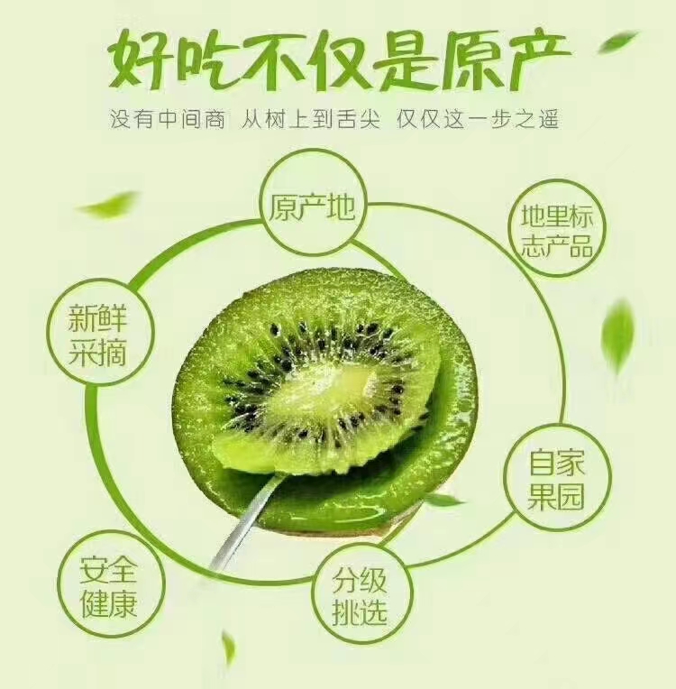 周至猕猴桃，产地直销，当天采摘当天配送，营养与美味兼得！