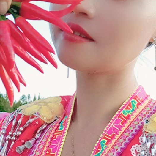 安顺贵州苗家朝天椒