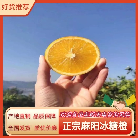 麻阳县正宗麻阳冰糖橙 支持大宗发整车供应全国市场