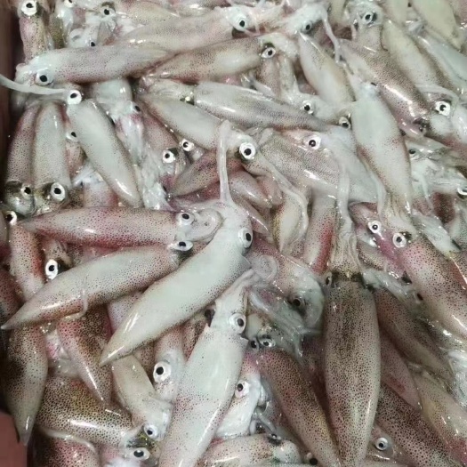 东山县鲜一口管