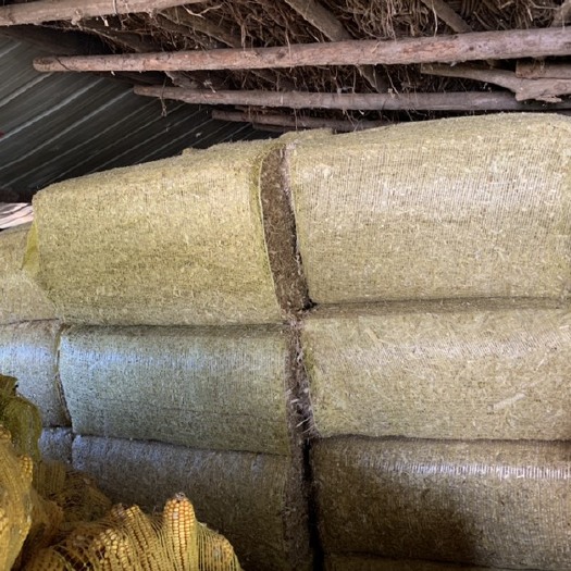 承德县河北承德自己家喂剩下的玉米秸秆草块