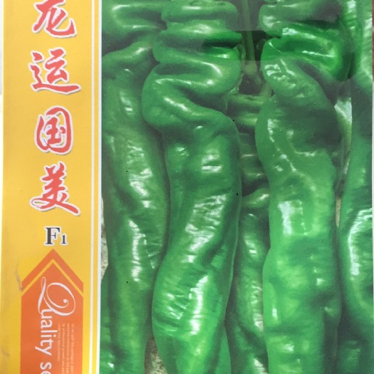 砀山县辣椒种子龙椒