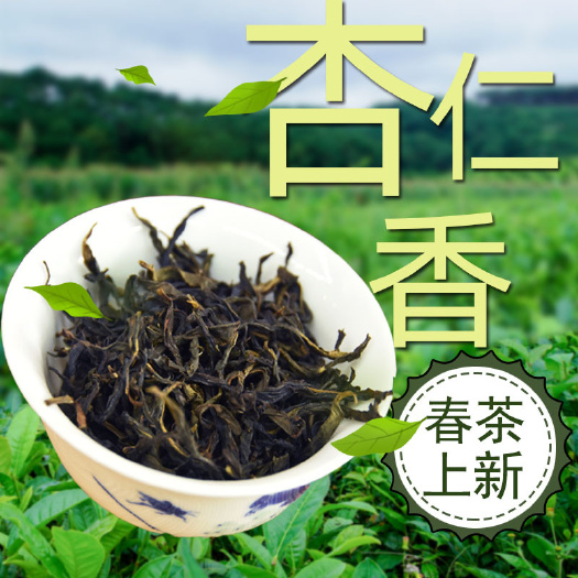 饶平县凤凰高山单丛茶野棟茶叶锯朵仔