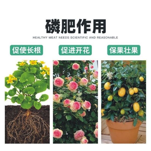 磷肥粉末过磷酸钙催花肥料家用园艺瓜果蔬菜盆栽通用型化肥磷钾肥