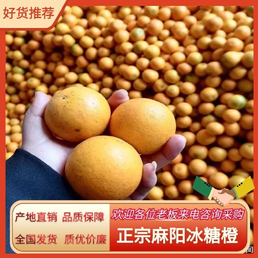 麻阳县麻阳向村长冰糖橙原产地直销整车配货代办长期合作