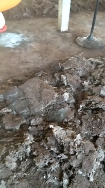 兴业县长期供应各种干鸡粪