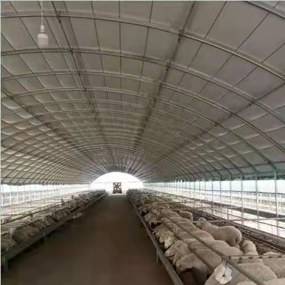 沭阳县养殖大棚，鸡，鸭，鹅，牛，羊，各式养殖大棚，支持定制高度材料