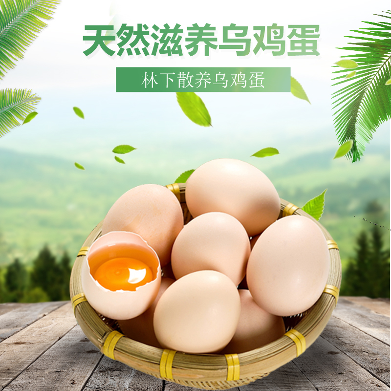 泰和县原种泰和乌鸡蛋，富硒鸡蛋，叶酸、维生素含量高。