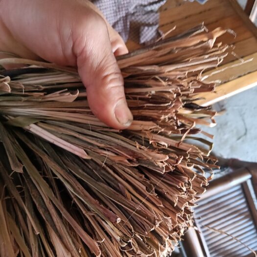 融水县茴香菖蒲叶及根