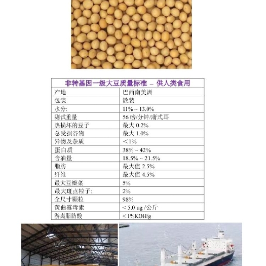 万宁市巴西人类食用大豆