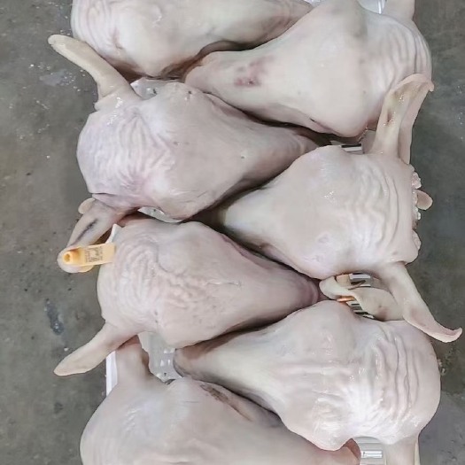 中牟县羊净头，带骨羊头