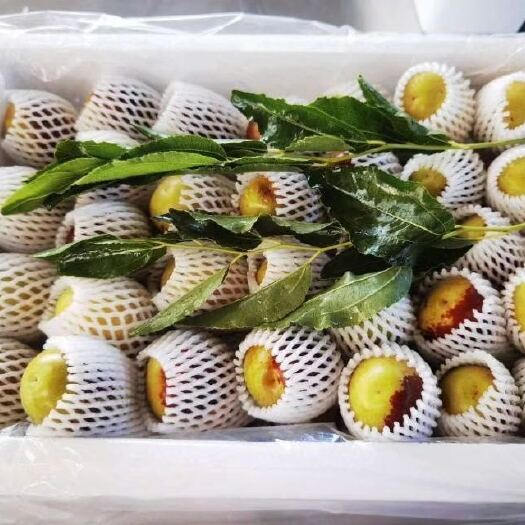 麦盖提县刀郎脆枣