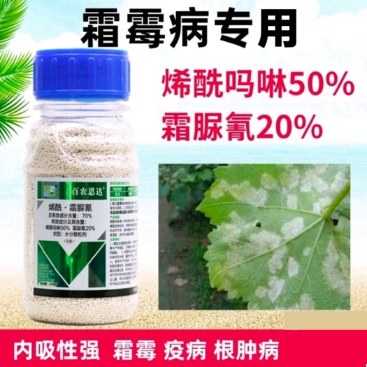 霜霉病使用杀菌剂70%烯酰吗啉霜脲氰蔬菜黄瓜早晚疫病农药