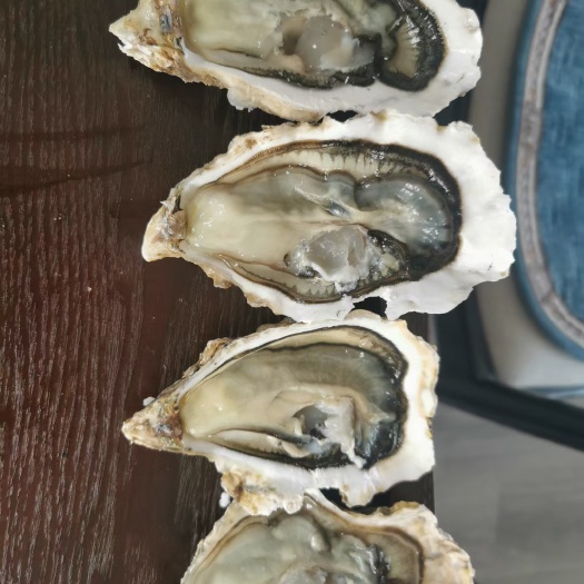 乳山市乳山生蚝，加工厂直供