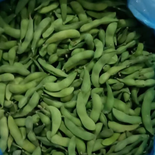 肥城市出口标准速冻毛豆