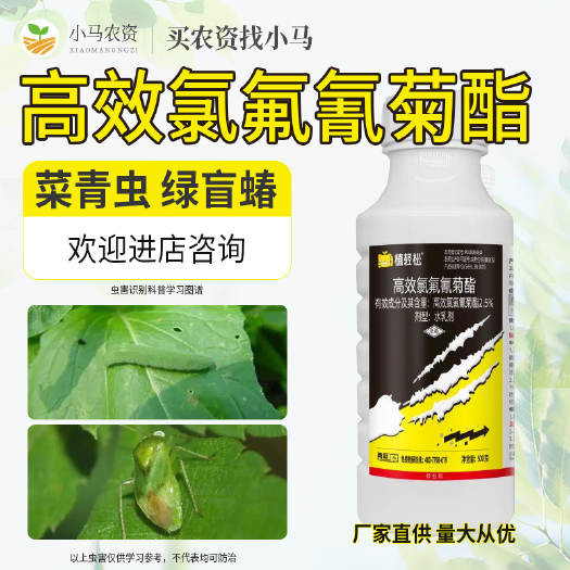 荥阳市2.5%氯氟氰菊酯脂杀虫剂石榴绿盲蝽十字花科菜青虫农药
